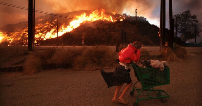 Wildfire Recovery in Los Angeles: Stephanie Jex and United Vision’s Inspiring Leadership